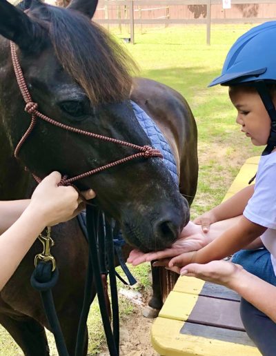 Boy feeding a horse at Sumlar Therapy Services, Inc